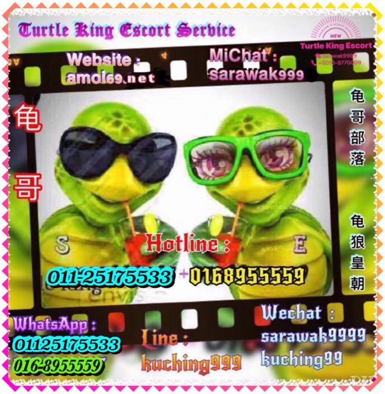 Turtle Escort Service - Amoi69 agent